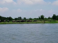 Mặt tiền sông lớn Nguyễn thị Minh Khai giá chỉ 3.9tr/m2 Mặt tiền sông lớn Nguyễn thị Minh Khai giá chỉ 3.9tr/m2