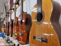 Nhiều guitar bình dân đến cao cấp chọn lọc kỹ Nhiều guitar bình dân đến cao cấp chọn lọc kỹ