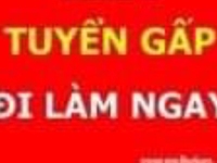 Cần tuyển gấp 2 nhân viên Thu ngân tại Quầy trong Siêu thị Cần tuyển gấp 2 nhân viên Thu ngân tại Quầy trong Siêu thị