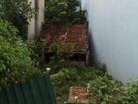 Bán đất mặt phố Nhật Chiêu, Tây Hồ 123m2, mt 7m giá 39ty thương lượng Bán đất mặt phố Nhật Chiêu, Tây Hồ 123m2, mt 7m giá 39ty thương lượng