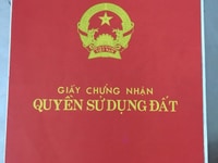 BÁN LÔ Đất đường 270 KDC Đồng Diều F4Q8 dt: 8mx20m giá 15,2 tỷ BÁN LÔ Đất đường 270 KDC Đồng Diều F4Q8 dt: 8mx20m giá 15,2 tỷ