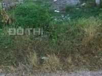 Bán đất ĐT 795 vào B5 thạnh sơn xã Thạnh Tây, tân biên tây nình Bán đất ĐT 795 vào B5 thạnh sơn xã Thạnh Tây, tân biên tây nình