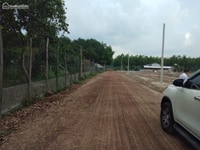 Chỉ còn 2 lô 1007m2 đất nhà vườn Chơn Thành Bình Phước SHR,LN 30%/năm Chỉ còn 2 lô 1007m2 đất nhà vườn Chơn Thành Bình Phước SHR,LN 30%/năm