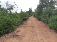 Chú Đế bán đất Sổ Hồng 1019m2 đường 7m thể hiện trên sổ, ngang 17,44m Chú Đế bán đất Sổ Hồng 1019m2 đường 7m thể hiện trên sổ, ngang 17,44m