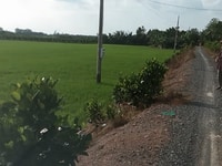 Cần bán đất tiền giang , khu trồng cây đặc sản xuất khẩu Cần bán đất tiền giang , khu trồng cây đặc sản xuất khẩu