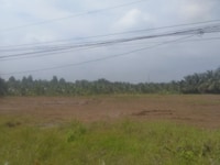 Cho thuê 5000m2 đất mặt tiền đường Nguyễn Bình Nhà Bè . Cho thuê 5000m2 đất mặt tiền đường Nguyễn Bình Nhà Bè .