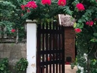Tổng hợp Lô đất nhỏ Mặt biển – Mặt đường Lạc Long Quân,Tiến Thành, PT Tổng hợp Lô đất nhỏ Mặt biển – Mặt đường Lạc Long Quân,Tiến Thành, PT