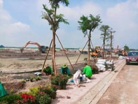 Đất nền mới, bán đời đầu, giá chỉ từ 605 triệu/nền, sổ hồng riêng Đất nền mới, bán đời đầu, giá chỉ từ 605 triệu/nền, sổ hồng riêng