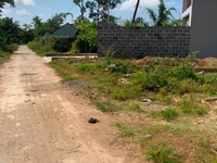 Cần bán lô đất hẻm 94 Nguyễn Trường Tộ, Phường Ea Tam,TP Buôn Ma Thuột Cần bán lô đất hẻm 94 Nguyễn Trường Tộ, Phường Ea Tam,TP Buôn Ma Thuột