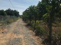 Đất xoài xã La Ngà, Định Quán, Đồng Nai, cách Quốc Lộ 20 2km, Đất xoài xã La Ngà, Định Quán, Đồng Nai, cách Quốc Lộ 20 2km,