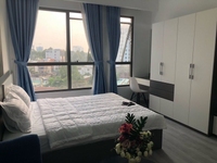 PKD Novaland bán CH Golden Mansion Novaland, Phổ Quang, 2PN 3 tỷ PKD Novaland bán CH Golden Mansion Novaland, Phổ Quang, 2PN 3 tỷ