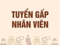 Nhà hàng Nhật - Ý Wainosuke tuyển gấp: Phục Vụ, Pha chế, Phụ Bếp Nhà hàng Nhật - Ý Wainosuke tuyển gấp: Phục Vụ, Pha chế, Phụ Bếp