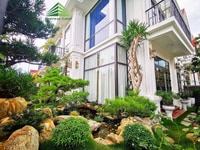 Khu B Royal park nhà thô đã có sổ Hồng đường 20,5m . Hỗ trợ vay 70% Khu B Royal park nhà thô đã có sổ Hồng đường 20,5m . Hỗ trợ vay 70%