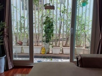 Bán nhà 5 tầng mặt ngõ Văn Cao, Ba Đình, 65m2 x 5 tầng Bán nhà 5 tầng mặt ngõ Văn Cao, Ba Đình, 65m2 x 5 tầng