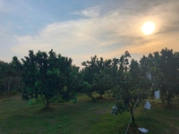 1276m2 đất mặt tiền Hương Lộ 7-ngang 16m;xã Tân Bình, huyện Vĩnh Cửu. 1276m2 đất mặt tiền Hương Lộ 7-ngang 16m;xã Tân Bình, huyện Vĩnh Cửu.