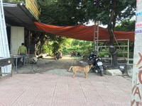 Cho thuê nhà xưởng đường Nguyễn Văn Linh Cho thuê nhà xưởng đường Nguyễn Văn Linh
