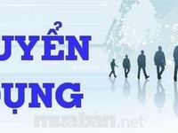 Tuyển 03 nhân viên tư vấn hỗ trợ khách hàng Tuyển 03 nhân viên tư vấn hỗ trợ khách hàng
