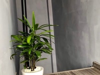 Bán nhà 5x6 1 lầu nhà đẹp 350 lê đức thọ p.6 hẻm thông Bán nhà 5x6 1 lầu nhà đẹp 350 lê đức thọ p.6 hẻm thông