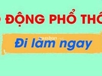 Cơ hội việc làm cho mọi lứa tuổi không cần bằng cấp Cơ hội việc làm cho mọi lứa tuổi không cần bằng cấp
