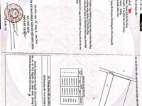 Bán đất Hóc Môn 1000m đất trồng cây Bán đất Hóc Môn 1000m đất trồng cây