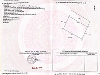Cần bán "đứa con tinh thần" 2,600m2 70 gốc chôm chôm thái ở Vĩnh Long Cần bán "đứa con tinh thần" 2,600m2 70 gốc chôm chôm thái ở Vĩnh Long