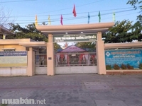 Cho thuê nhà ở + Kinh doanh mới xây Cho thuê nhà ở + Kinh doanh mới xây