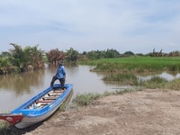 Đất vườn mặt tiền Cát Lái xã Phú Đông,view rạch,liền kề Phú Mỹ Hưng. Đất vườn mặt tiền Cát Lái xã Phú Đông,view rạch,liền kề Phú Mỹ Hưng.