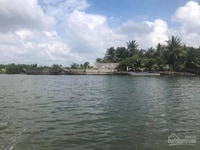 Đất mặt tiền sông Phú Đông 1ty2 1000m2 có đường hiện hữu Đất mặt tiền sông Phú Đông 1ty2 1000m2 có đường hiện hữu