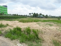 Bán gấp 500m2 Đất Mặt Tiền Nguyễn Trung Trực Đối Diện nhà Máy Dachan Bán gấp 500m2 Đất Mặt Tiền Nguyễn Trung Trực Đối Diện nhà Máy Dachan