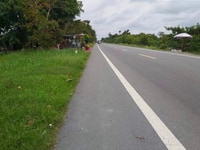Bán đất đang trồng xoài, Mặt tiền QL 61C, gần ngã ba bốn tổng một ngàn Bán đất đang trồng xoài, Mặt tiền QL 61C, gần ngã ba bốn tổng một ngàn