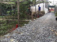 Cần sang lô đất cho người thân thương lượng cho anh chị đầu tư Cần sang lô đất cho người thân thương lượng cho anh chị đầu tư