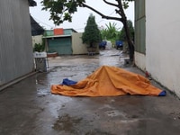 Bán đất Đường số 9, Phường 7, Quận 8, ngay chợ đầu mối Bình Điền Bán đất Đường số 9, Phường 7, Quận 8, ngay chợ đầu mối Bình Điền
