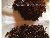 Cafe Arabica catimon rang xay không tẩm ướp Cafe Arabica catimon rang xay không tẩm ướp