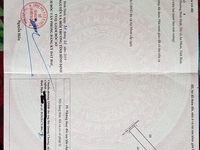Chính chủ bán đất khu dân cư ngay uỷ ban hành chính xã An Nhơn 1,6 tỷ Chính chủ bán đất khu dân cư ngay uỷ ban hành chính xã An Nhơn 1,6 tỷ