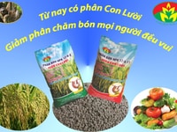 Phân bón tốt nhất cho các loại cây trồng_Phân Con Lười Phân bón tốt nhất cho các loại cây trồng_Phân Con Lười