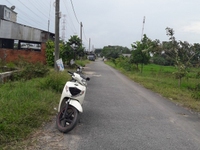 Bán đất mặt tiền thông nhựa 8m đã chuyển lên thổ vườn đất trồng cây Bán đất mặt tiền thông nhựa 8m đã chuyển lên thổ vườn đất trồng cây