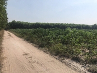 bán đất công vĩnh thanh giá rẻ cho nhà đầu tư 4,5tr/m2 bán đất công vĩnh thanh giá rẻ cho nhà đầu tư 4,5tr/m2
