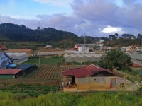 Cần bán 1000m2 có 427,2 thổ cư,ngoại ô TP Đà lạt,phường 7 Cần bán 1000m2 có 427,2 thổ cư,ngoại ô TP Đà lạt,phường 7