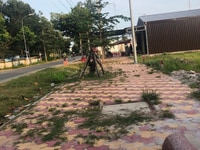 Bán đất tại Đường Đinh Bộ Lĩnh - Thị xã La Gi - Bình Thuận Bán đất tại Đường Đinh Bộ Lĩnh - Thị xã La Gi - Bình Thuận