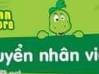 Cần tuyển gấp nhân viên văn phòng Cần tuyển gấp nhân viên văn phòng