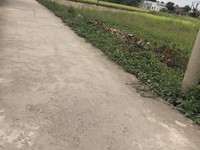 Bán nền thổ cư Thị trấn Thủ Thừa Long An Bán nền thổ cư Thị trấn Thủ Thừa Long An
