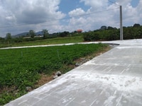 Cần tiền đi du lịch cuối năm bán rẻ đất hẻm Cư Xá – Liên Hiệp. Cần tiền đi du lịch cuối năm bán rẻ đất hẻm Cư Xá – Liên Hiệp.
