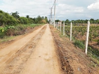 Bán thửa đất thổ vườn 1000m2 đường vườn thơm xã bình lợi HBC Bán thửa đất thổ vườn 1000m2 đường vườn thơm xã bình lợi HBC