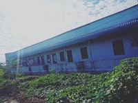 Bán nhà trọ Mt đường nhựa Hàm Liêm Bán nhà trọ Mt đường nhựa Hàm Liêm