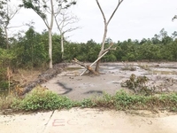 Bán nền Khu dân cư ĐẠI LỘC PHÁT (Đối diện Bệnh viện Nhi Đồng) Bán nền Khu dân cư ĐẠI LỘC PHÁT (Đối diện Bệnh viện Nhi Đồng)