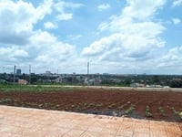 Hai lô đất đồi liền kề trung tâm TP. BMT đầu tư, xây k. sạn, homestay Hai lô đất đồi liền kề trung tâm TP. BMT đầu tư, xây k. sạn, homestay