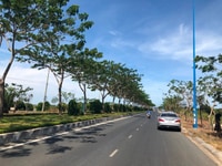 Bán Đất Mặt Tiền Đường Trường Sa, Long Sơn,Thành Phố Vũng Tàu Bán Đất Mặt Tiền Đường Trường Sa, Long Sơn,Thành Phố Vũng Tàu