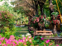 Chính chủ bán Penhouse đẹp khu Rừng Cọ Chính chủ bán Penhouse đẹp khu Rừng Cọ