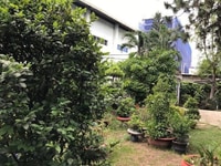 Sang nhượng biệt thự sân vườn Trường Thọ, Thủ Đức, giá 52 tỷ Sang nhượng biệt thự sân vườn Trường Thọ, Thủ Đức, giá 52 tỷ