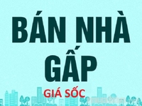 Cần bán gấp căn hộ Duplex Phú Hoàng Anh 1, DT 140m2, đang cho thuê Cần bán gấp căn hộ Duplex Phú Hoàng Anh 1, DT 140m2, đang cho thuê